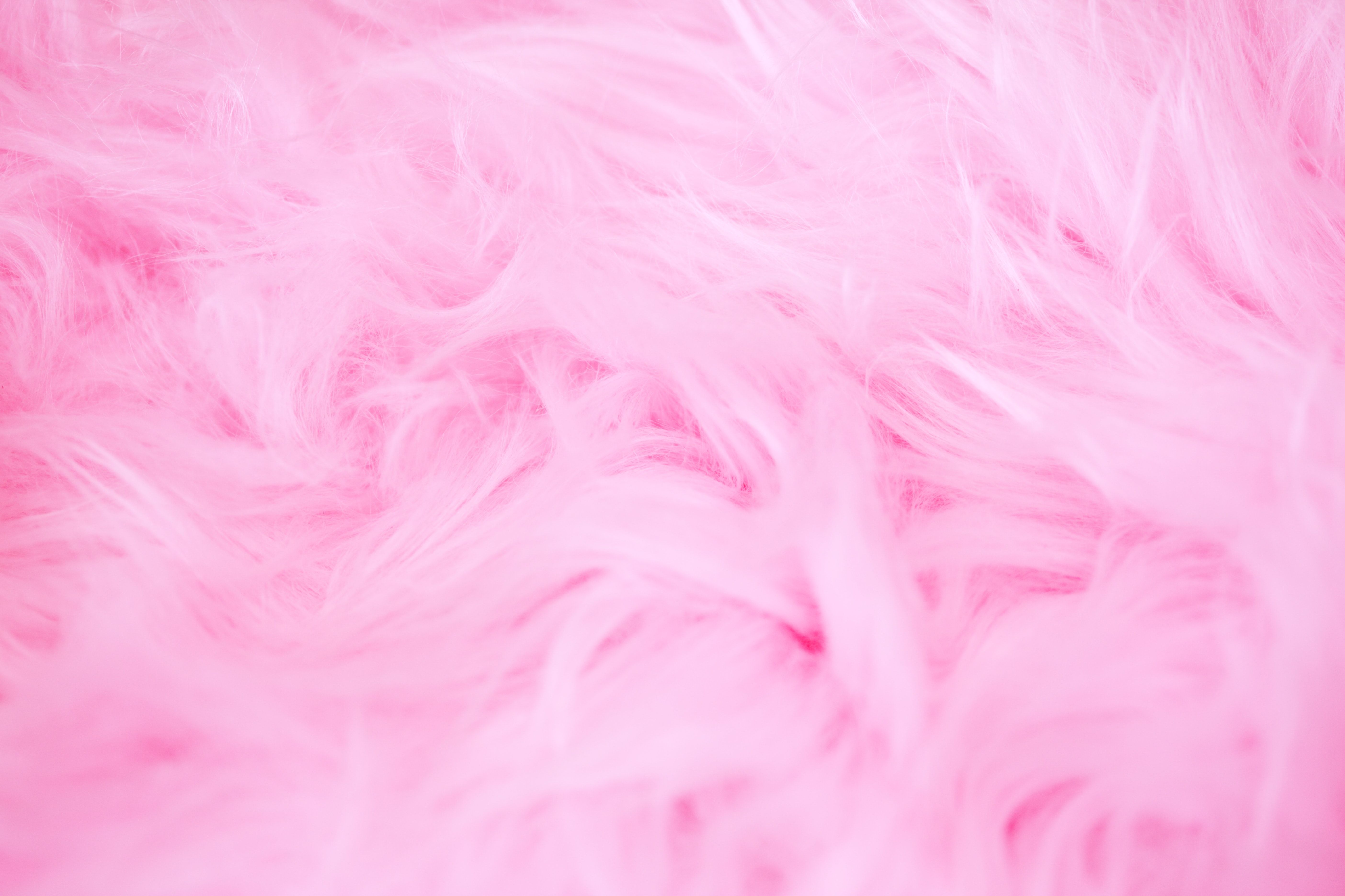 Pink basah. Розовый мех. Розовый `текстура`. Розовые перья. Розовый фон.