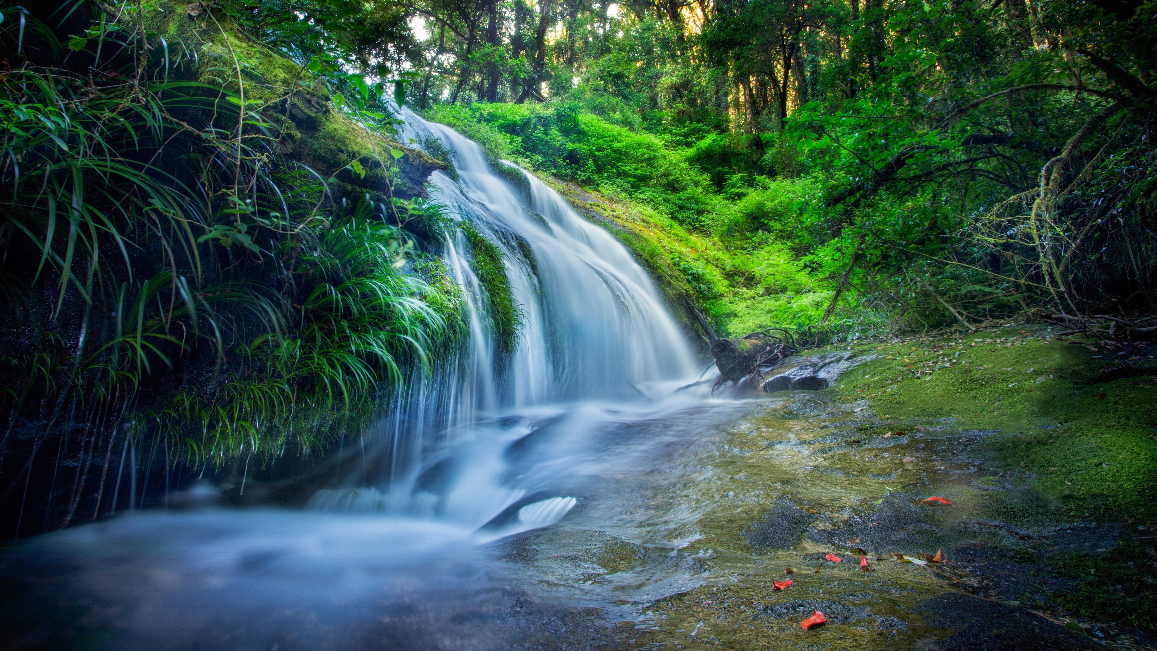 Flower Waterfall Trees Wallpapers On Wallpaperdog