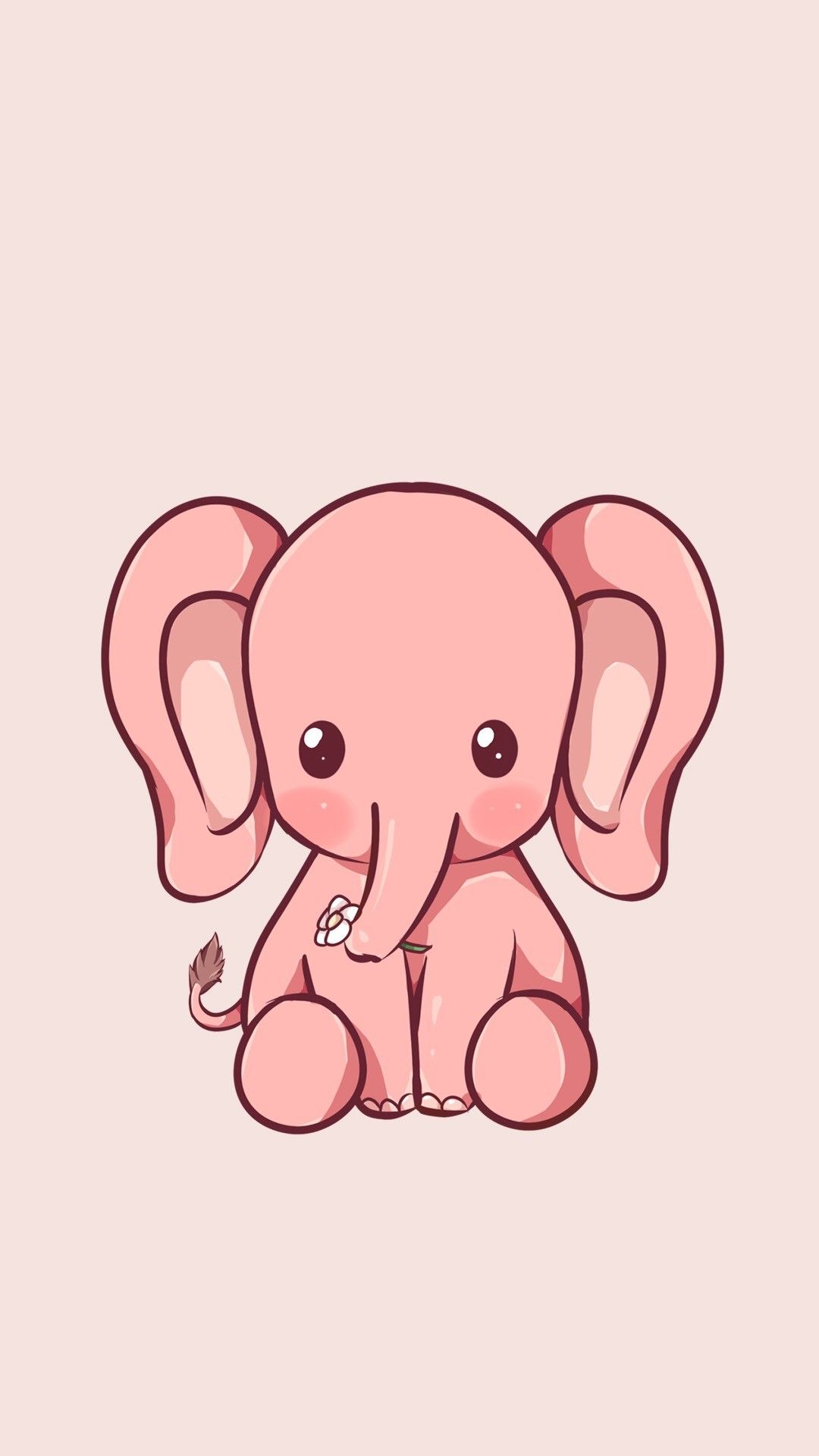 Elephant Wallpaper Images  Free Photos PNG Stickers Wallpapers   Backgrounds  rawpixel