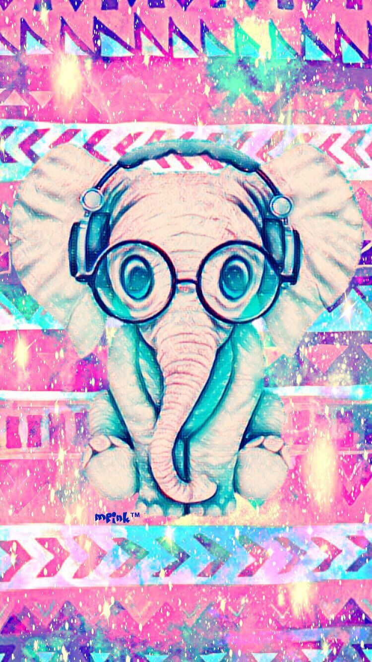 Elephant Wallpapers Free HD Download 500 HQ  Unsplash