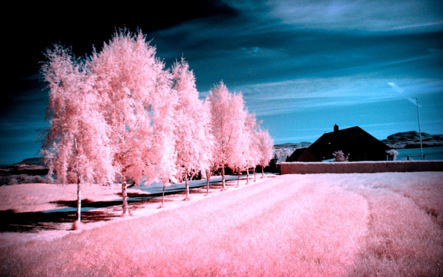 Pink Scenic Wallpaper HD