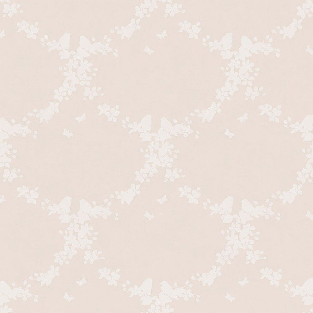 Blush Blossom Wallpapers on WallpaperDog