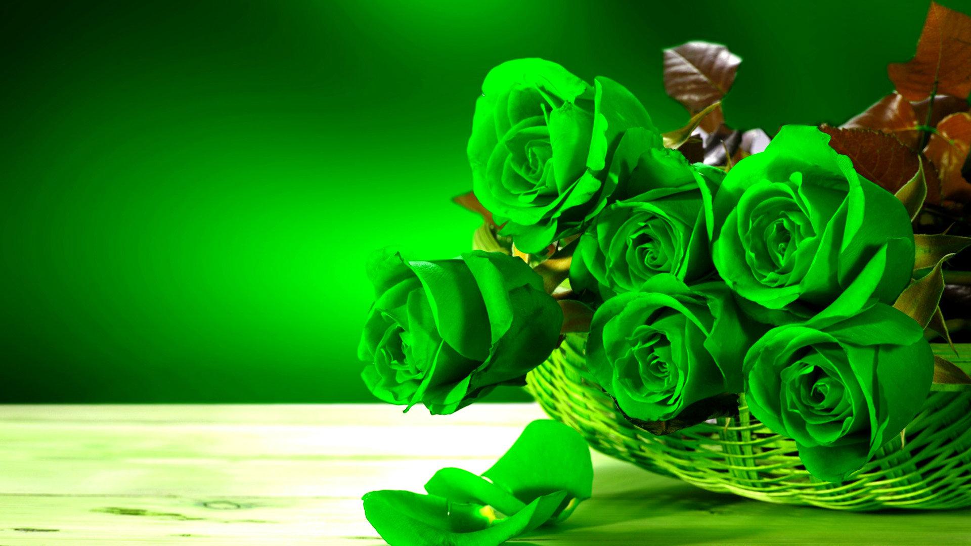 Green Flowers Desktop Wallpapers on WallpaperDog