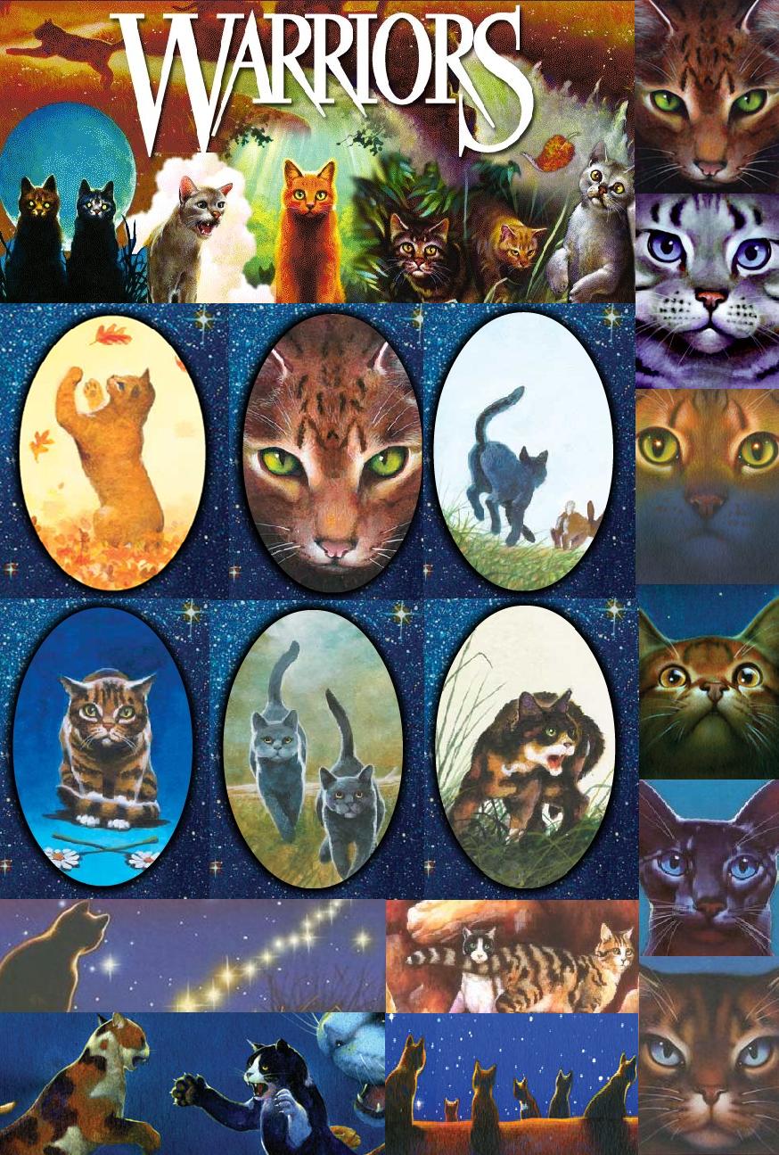 50 Warriors Cats Wallpapers  WallpaperSafari