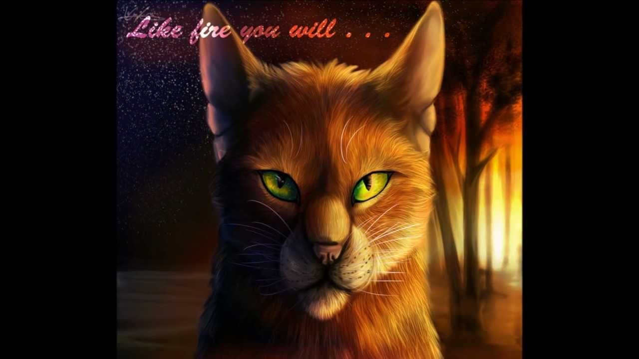 Warrior Cats iPhone Wallpapers on WallpaperDog