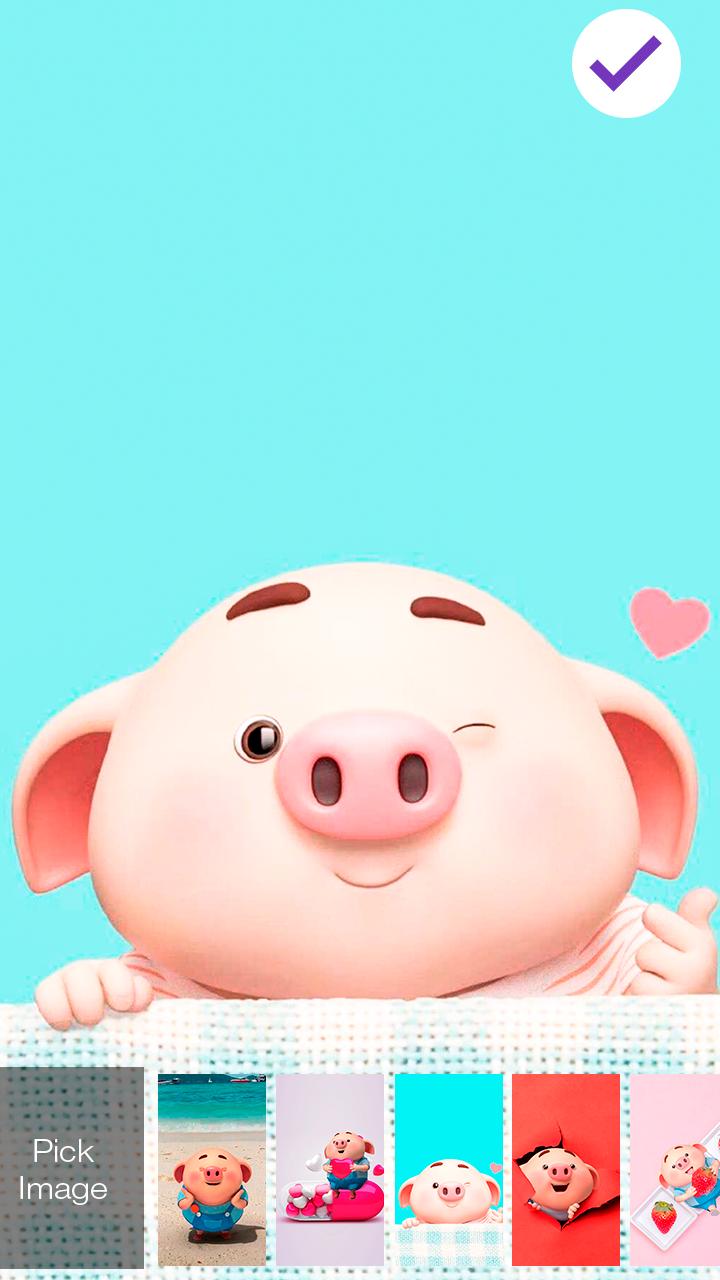 Piggy wallpaper