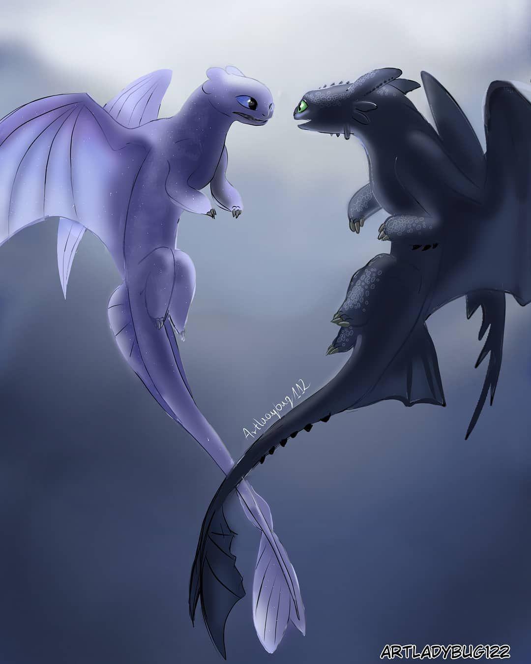 Featured image of post Toothless And Light Fury Family Let s find out who toothless new love light fury is