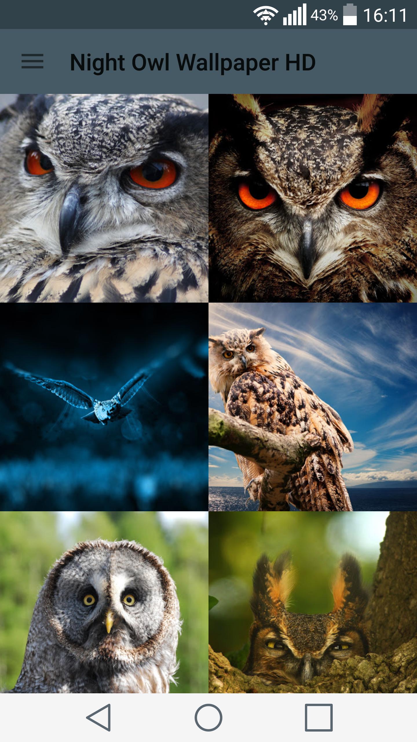 Night Owl Wallpapers on WallpaperDog