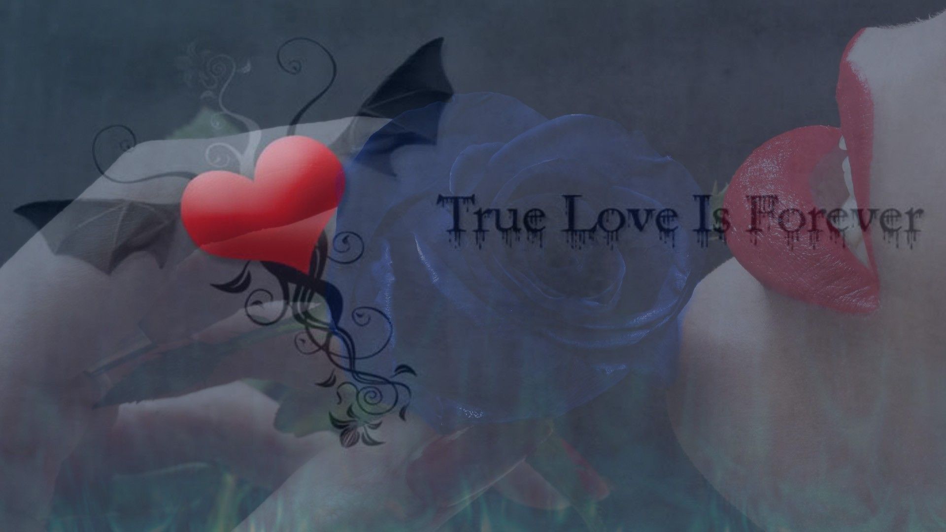 True Love Quotes Wallpapers  Top Những Hình Ảnh Đẹp