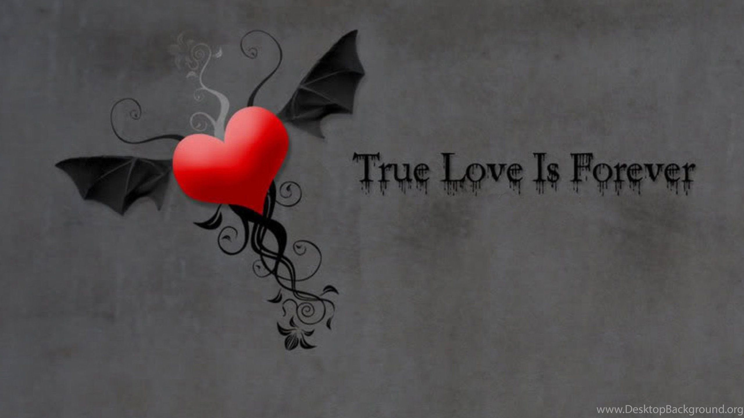 True love never dies 1080P 2K 4K 5K HD wallpapers free download   Wallpaper Flare
