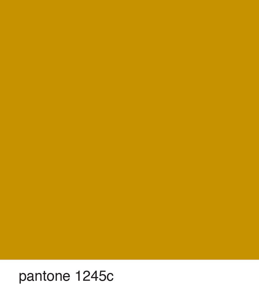 Muted Orange and Yellow Wallpapers on WallpaperDog