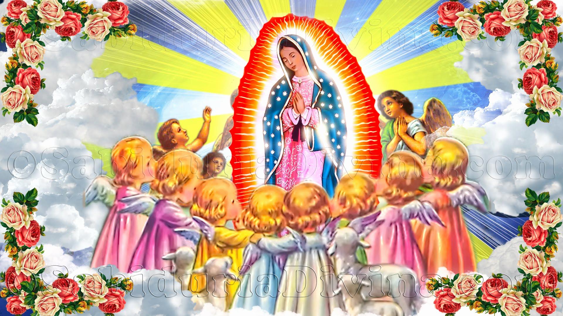 La Virgen De Guadalupe Wallpapers on WallpaperDog