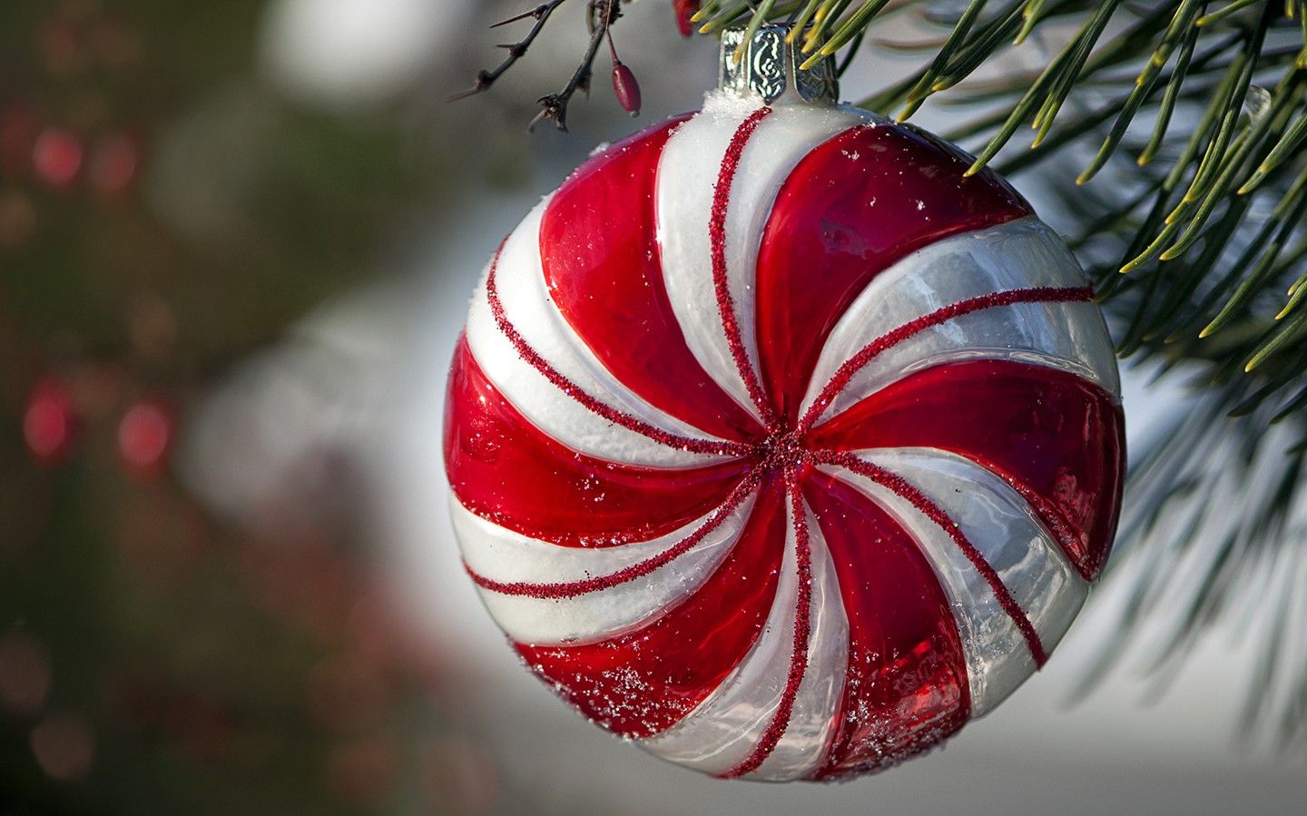 Christmas Ornament Pictures  Download Free Images on Unsplash