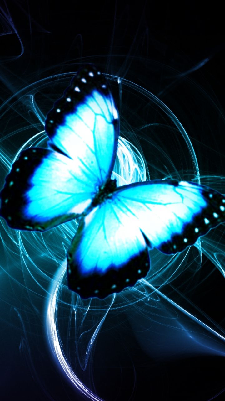 Butterfly Moon Wallpapers on WallpaperDog