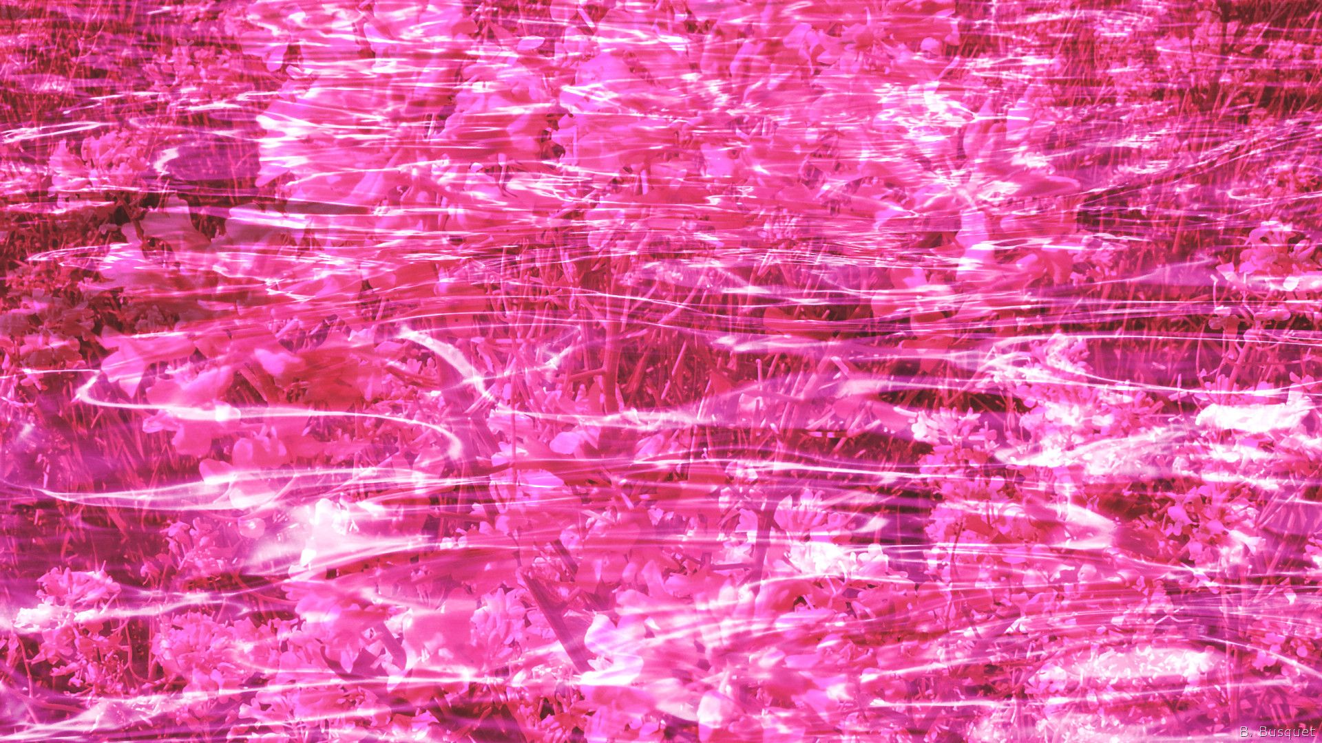 Pink water. Pink a Water. Rosewater Sparkle Pink. Daniel h. Pink "Water". Pulse Music Pink Water.