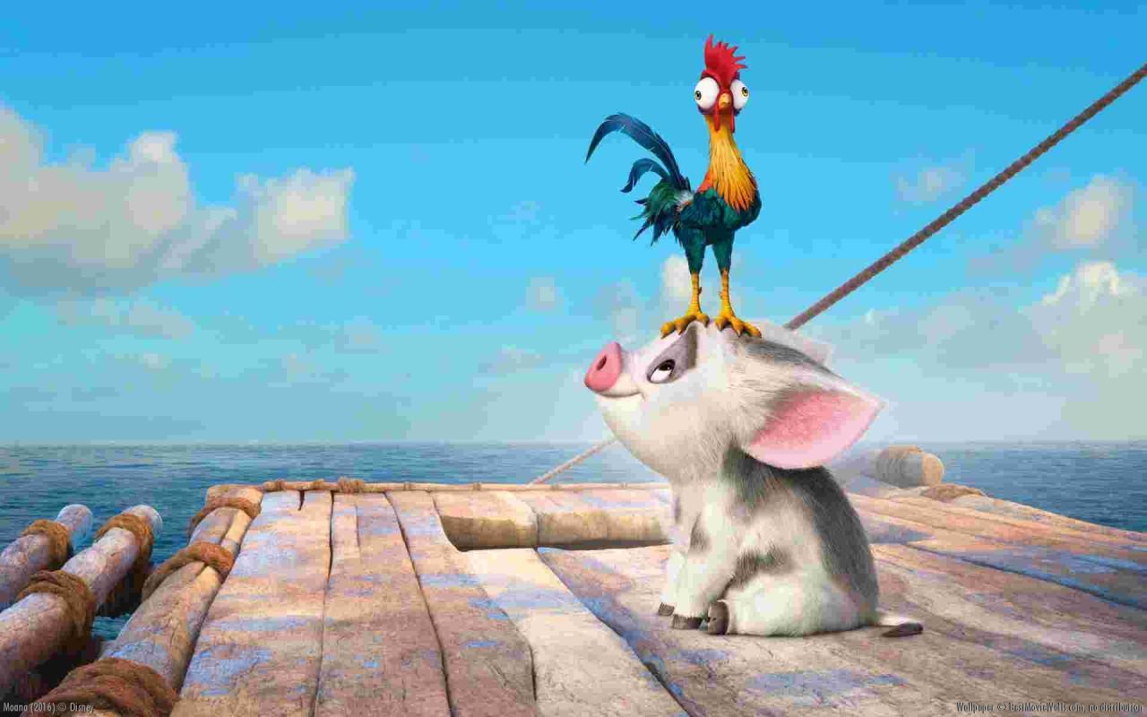 Chicken Moana Wallpapers On WallpaperDog Chicken Moana Wallpapers On WallpaperDog