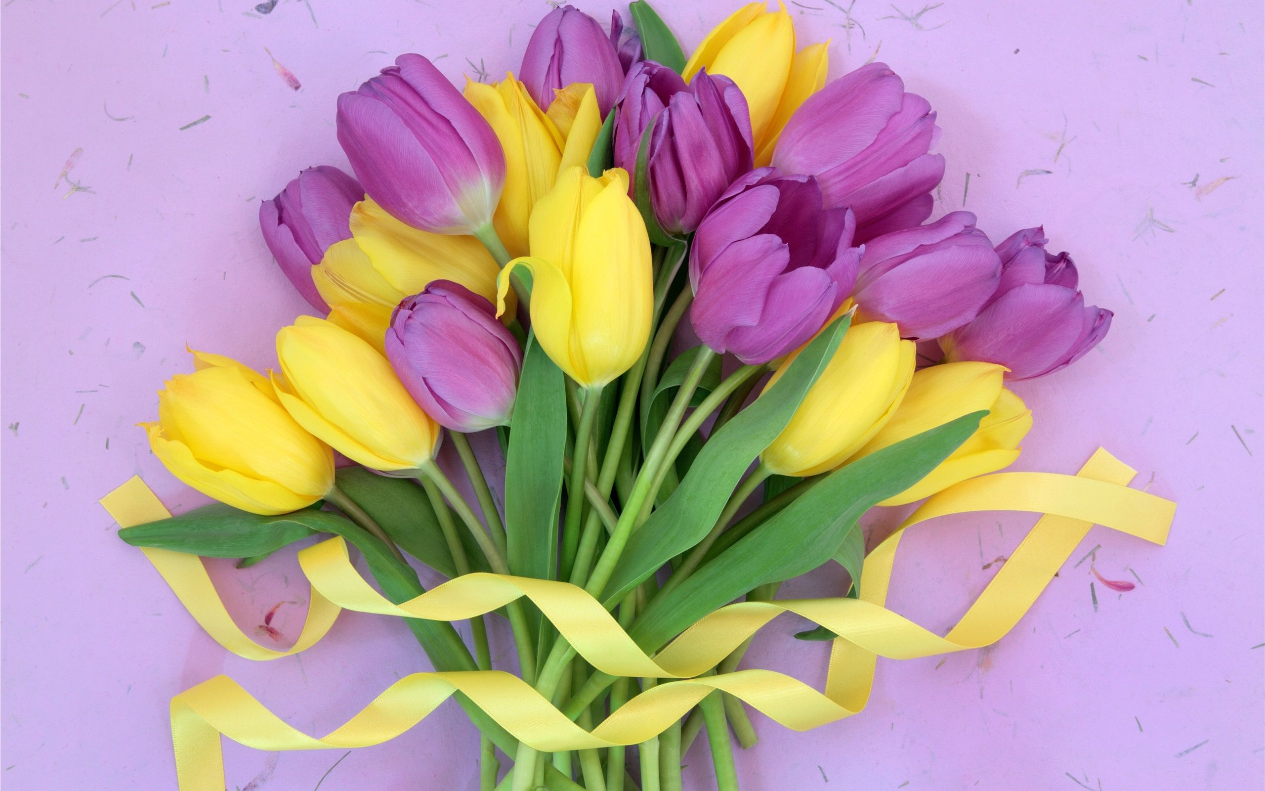 Yellow And Purple Flower Background