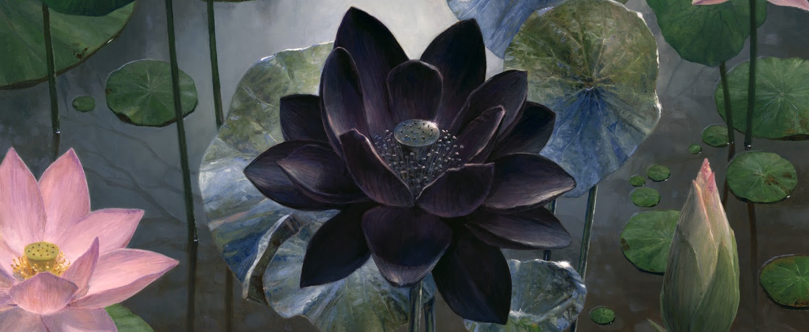 ArtStation - Black Lotus