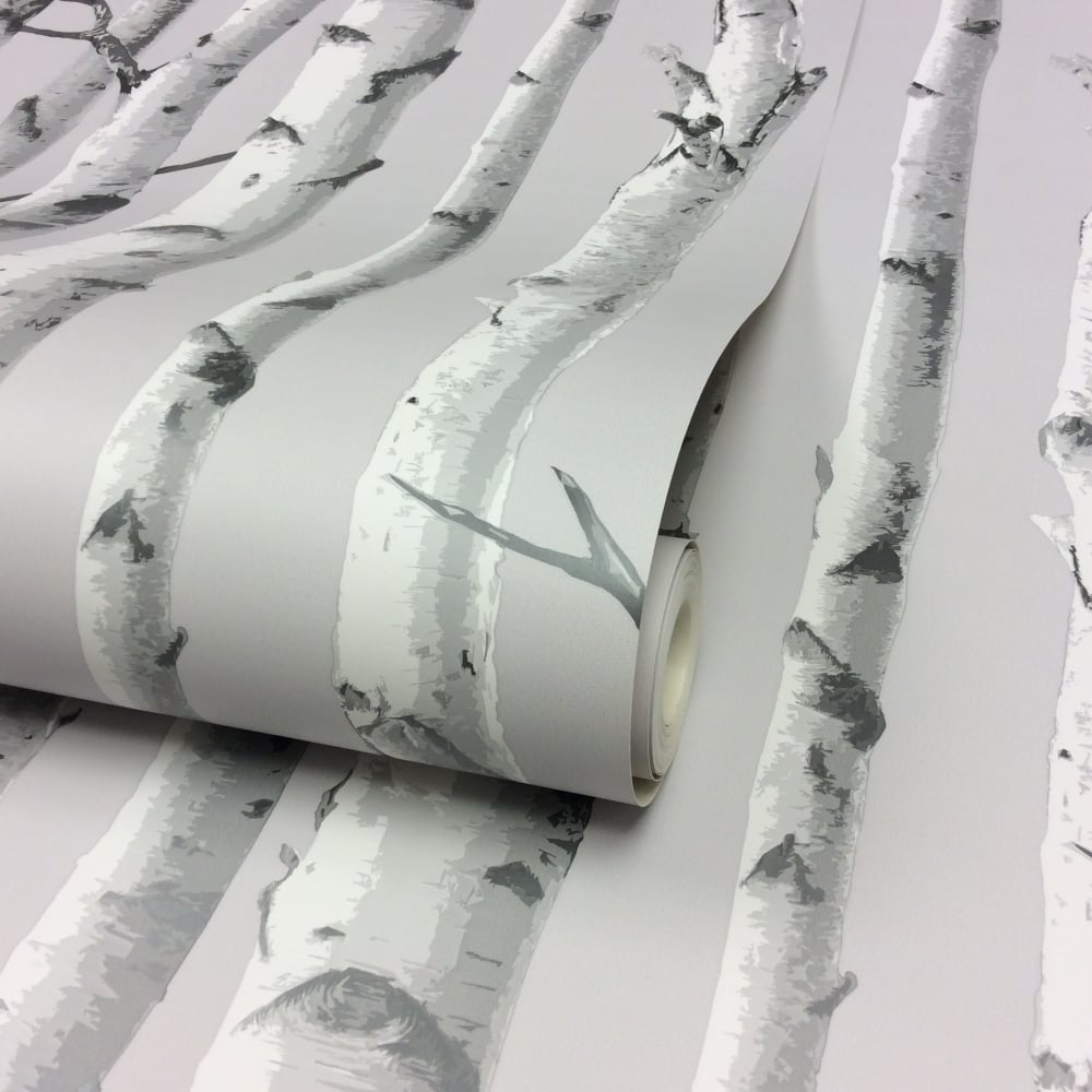 Birch Tree Wallpapers.