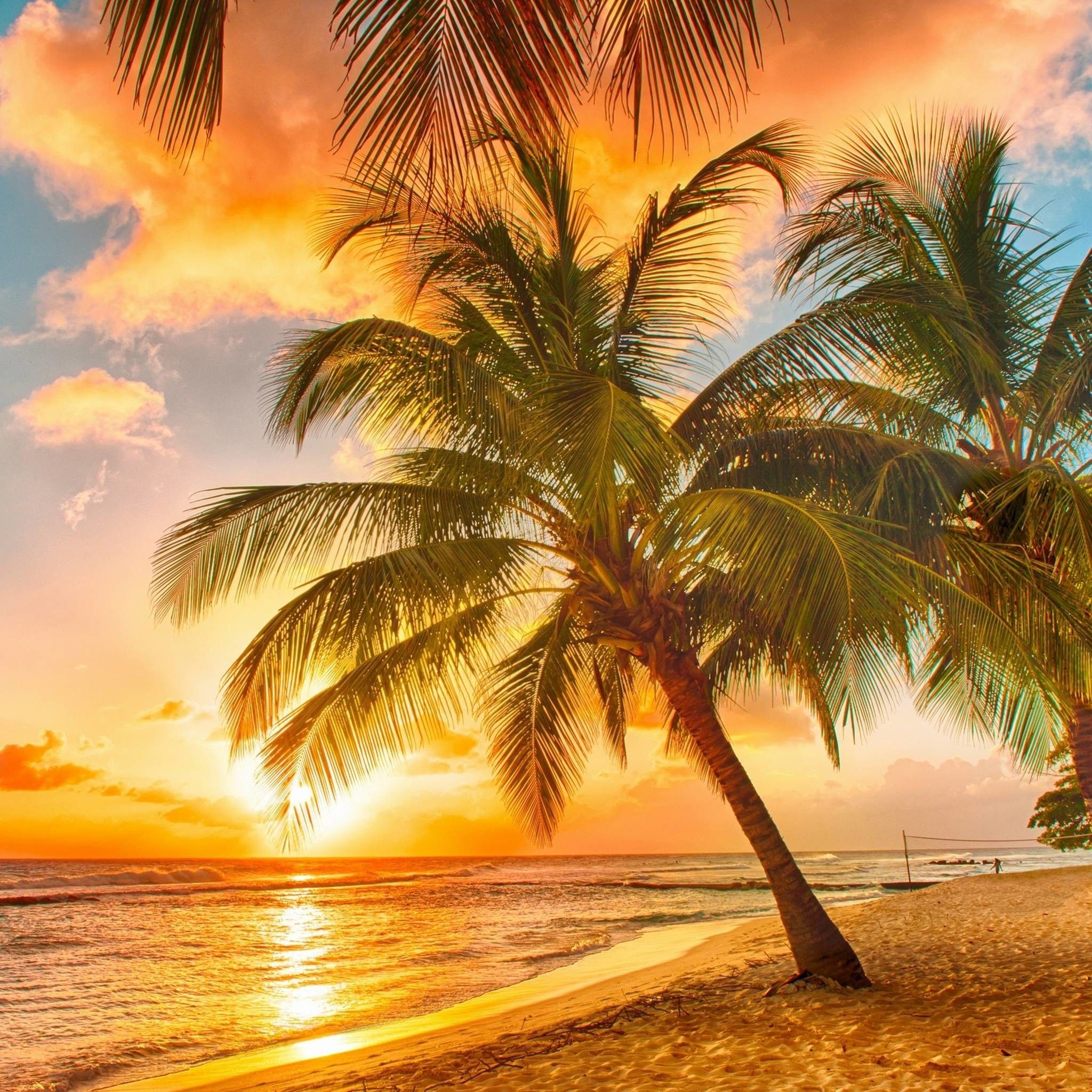 Hd Tropical Wallpapers
