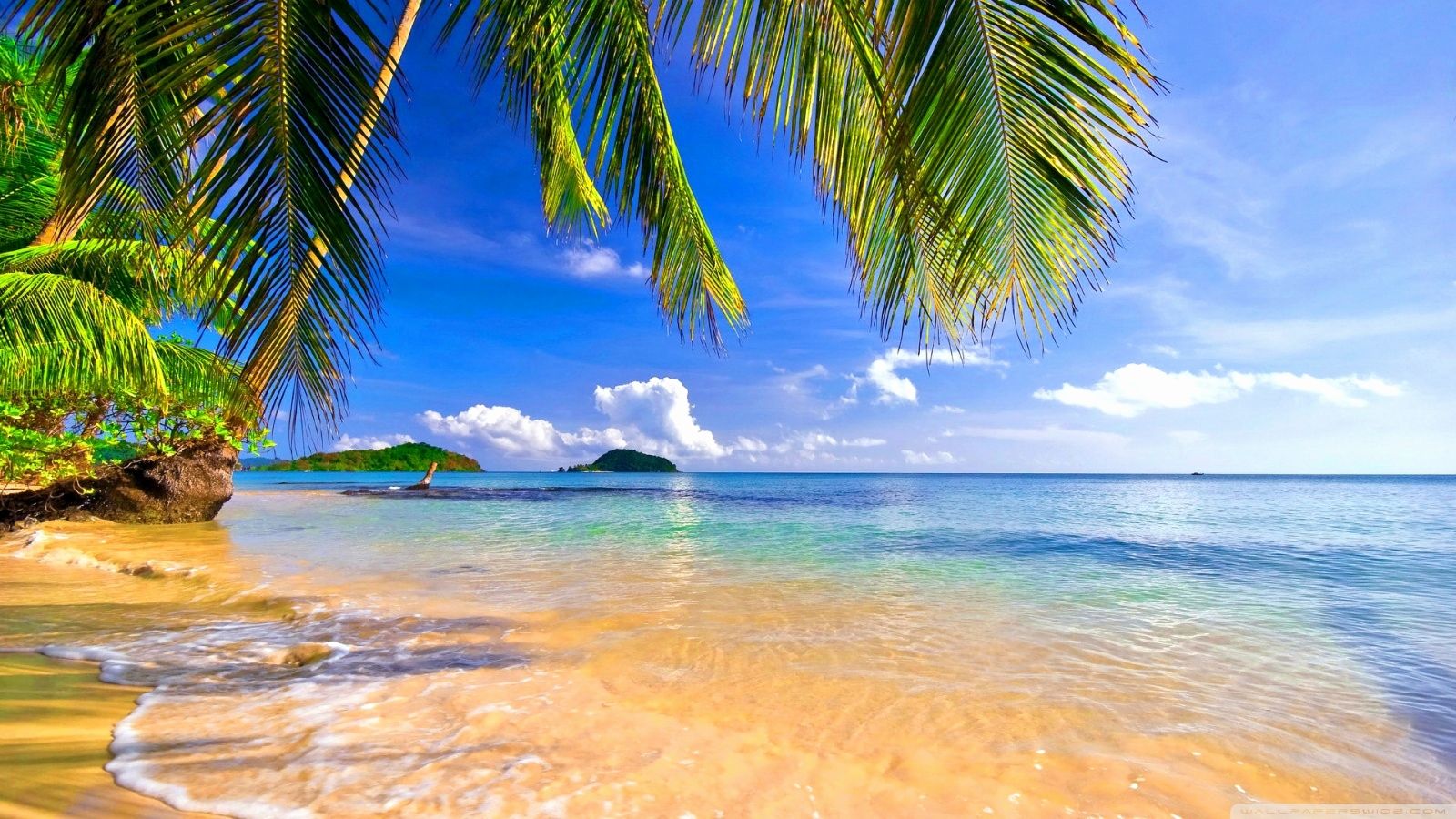 Tropical Sea Beach 4K wallpaper download
