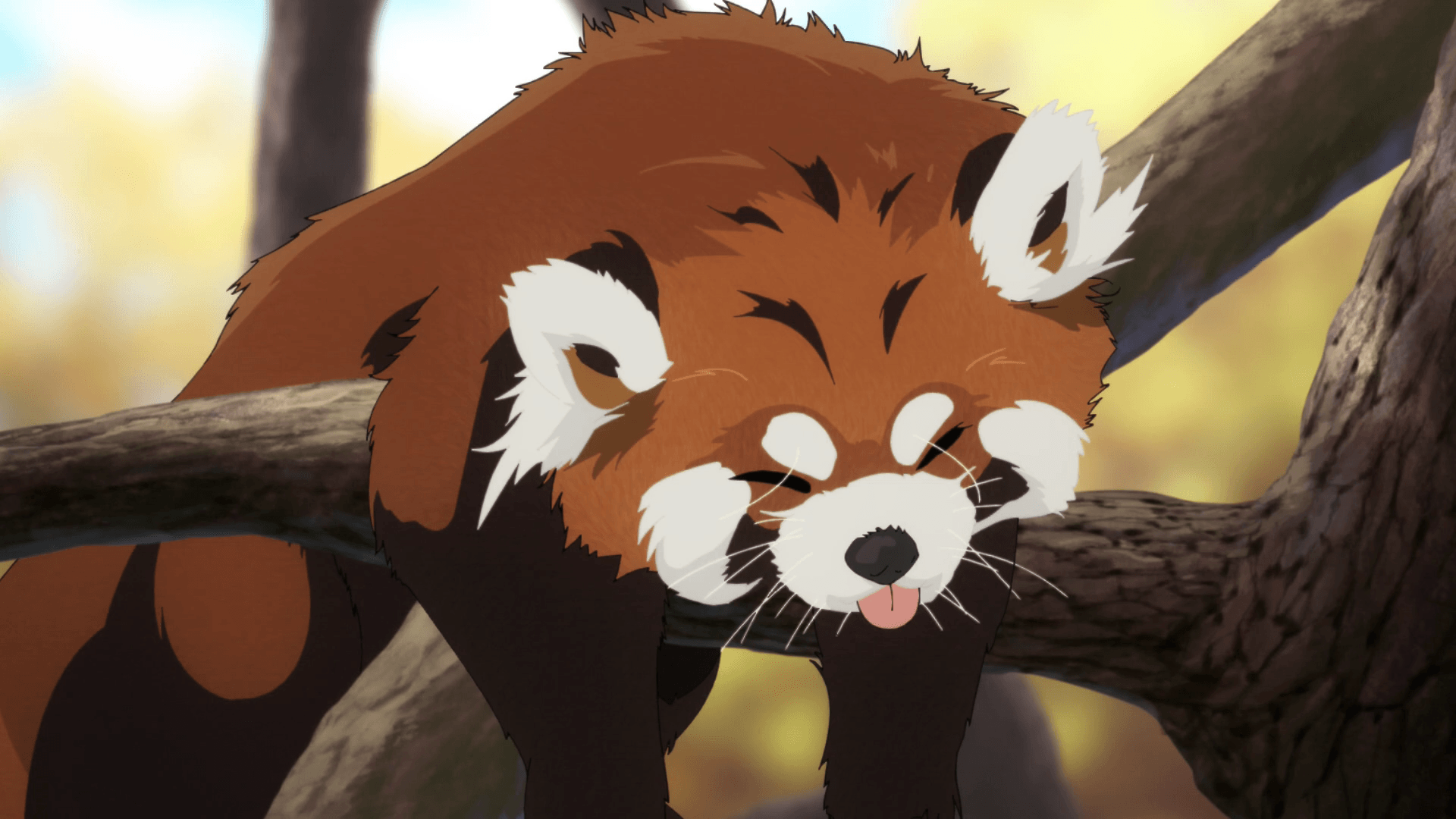 Red Panda Anime Wallpapers on WallpaperDog