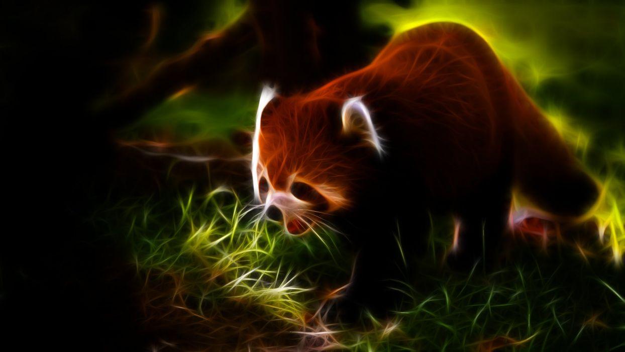 Red Panda Wallpaper Wallpaper App Background Red Panda Picture To Draw  Background Image And Wallpaper for Free Download