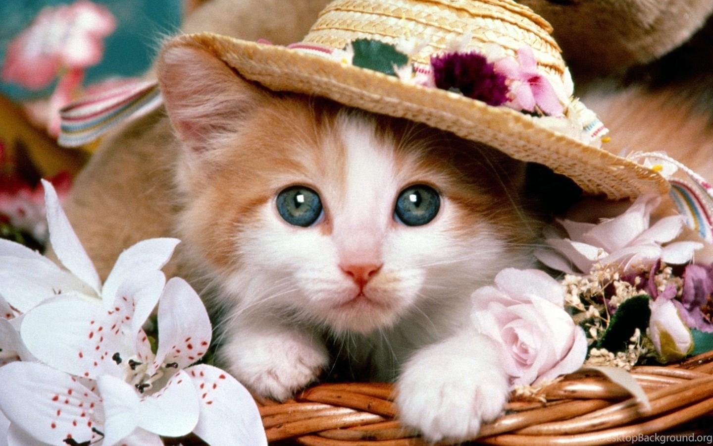 Cute adorable pastel cat kitten dog puppy cartoon doodle seamless pattern  background wallpaper Stock Vector  Adobe Stock
