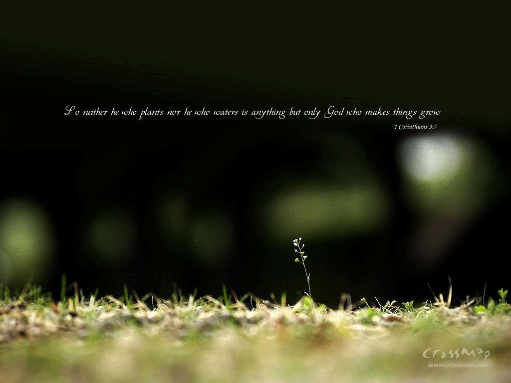 Bible Quotes Wallpapers on WallpaperDog