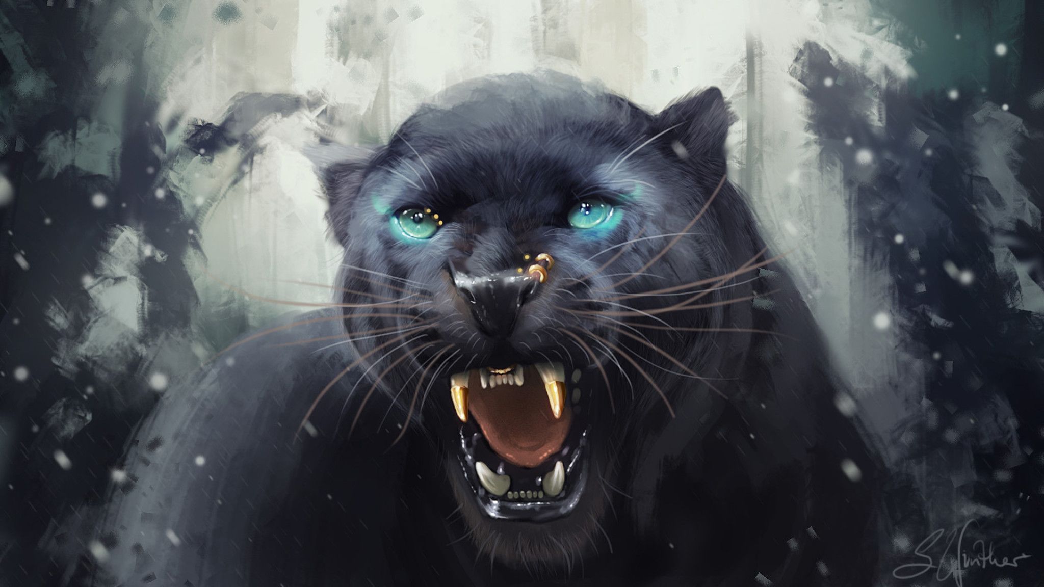 Cat Black Panther Wallpapers on WallpaperDog