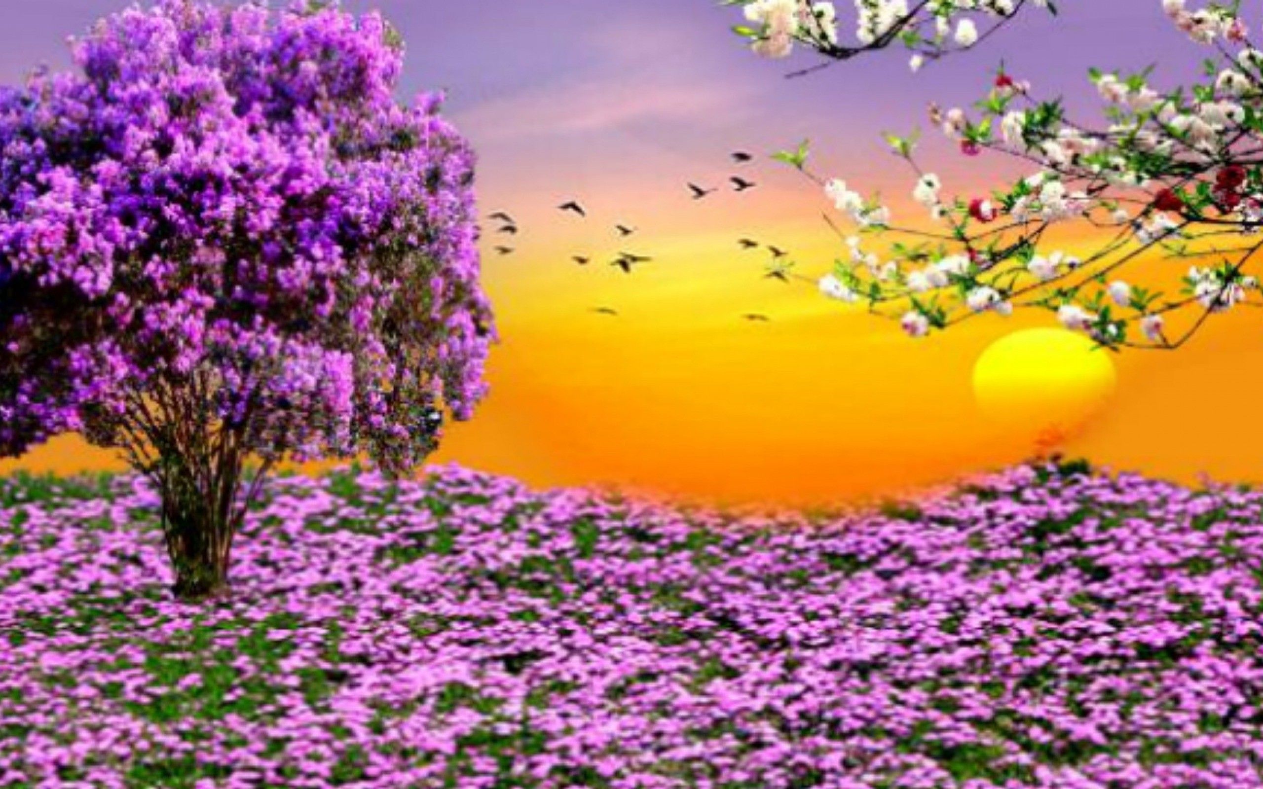 Beautiful Spring Scenery Wallpapers on WallpaperDog