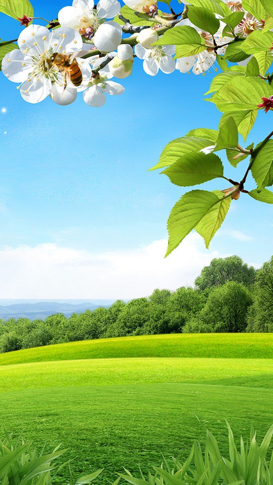 spring scenery background