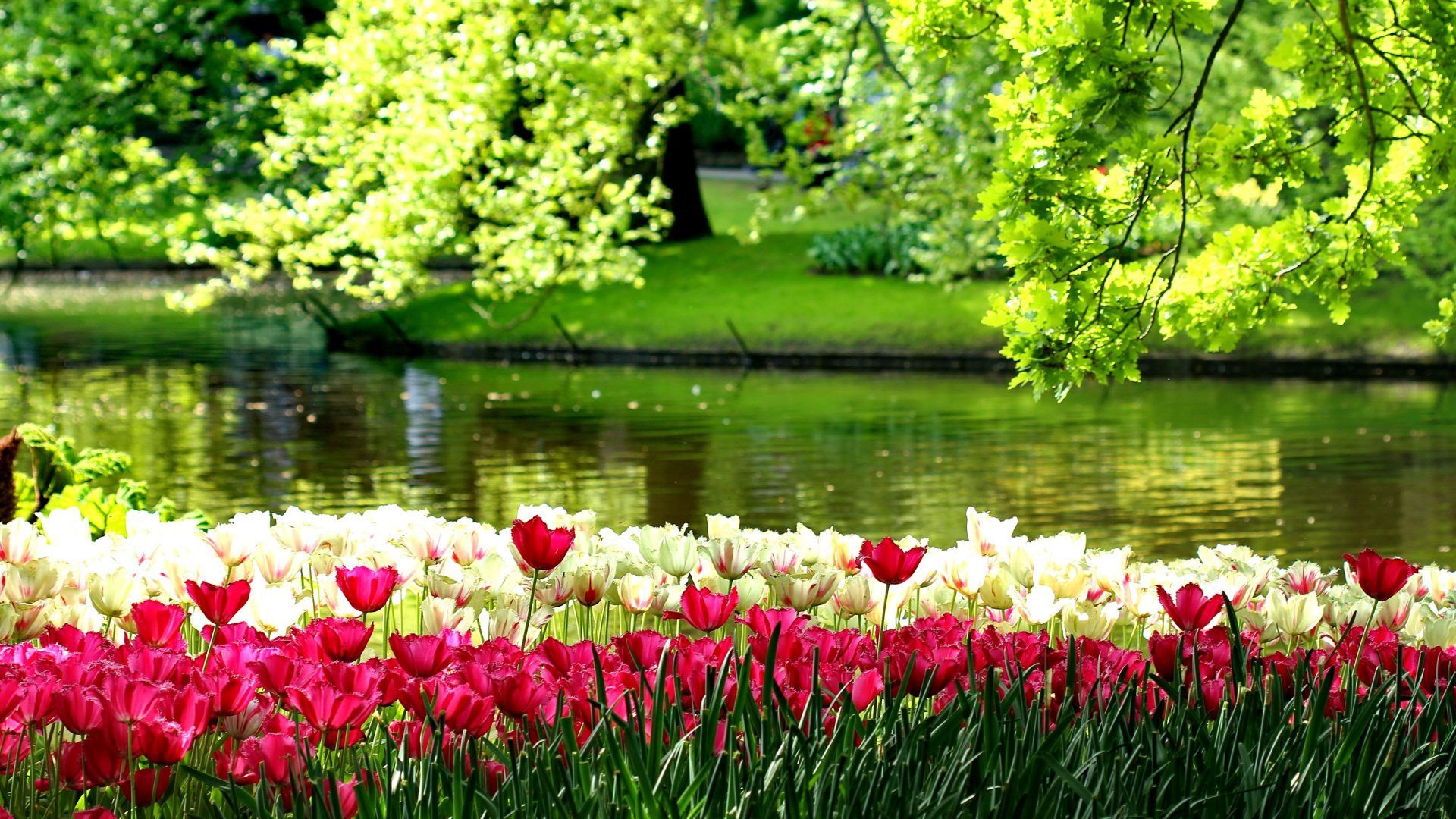 River Flower Garden Wallpapers on WallpaperDog