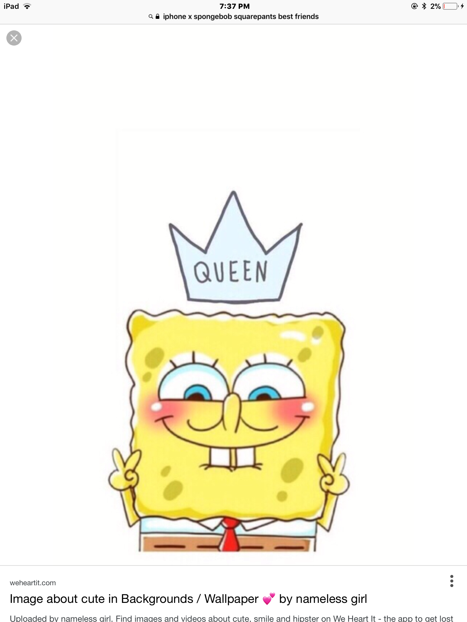 Spongebob Queen Wallpapers On Wallpaperdog