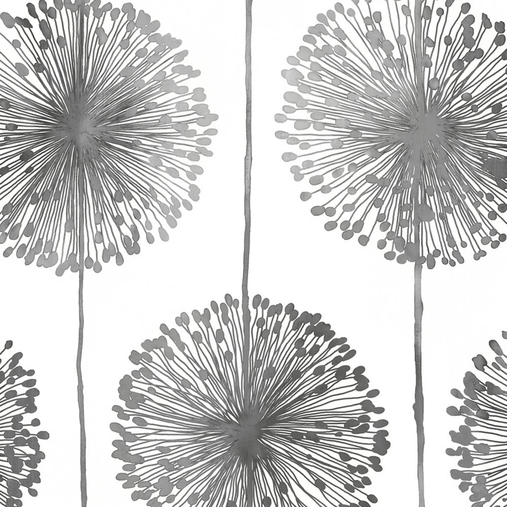 Black and white flowers wallpapers HD  PixelsTalkNet