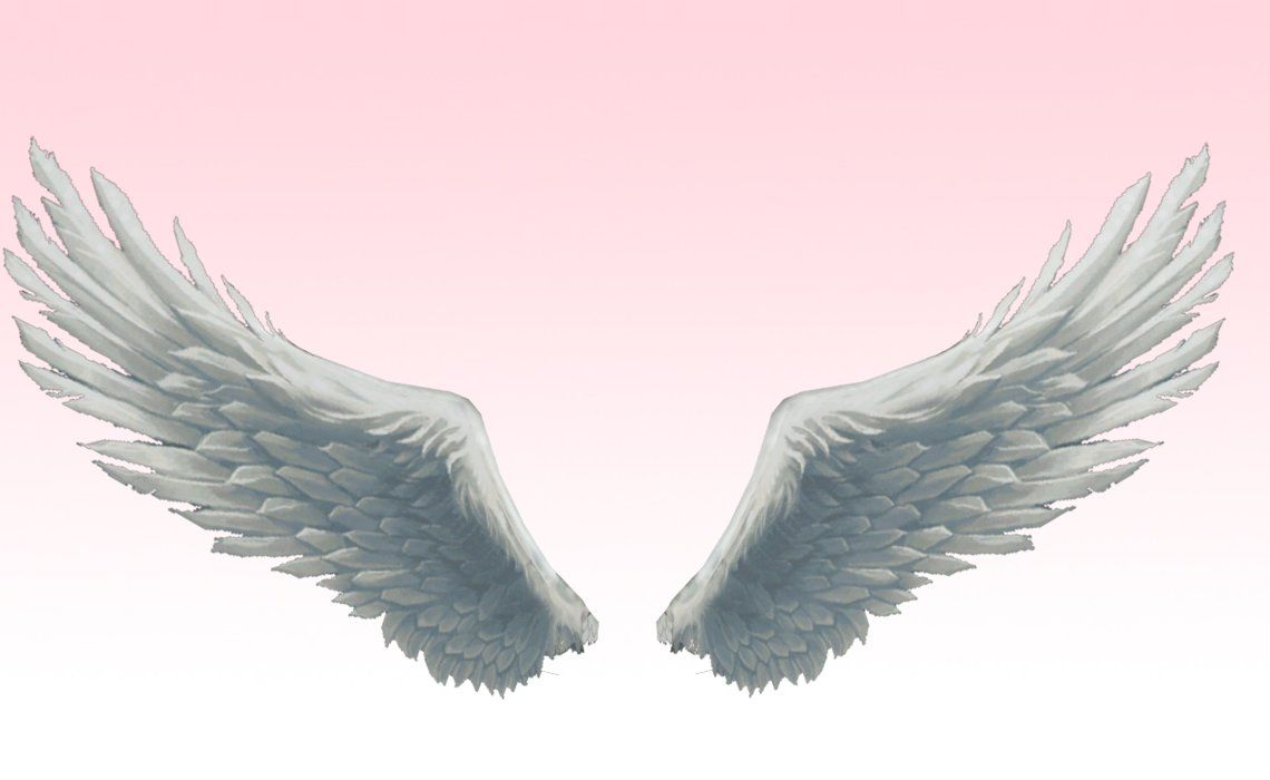 Angel Wings Wallpaper 72 pictures