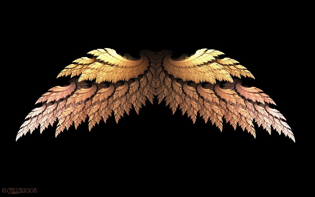 Open Angel Wings Wallpapers on WallpaperDog