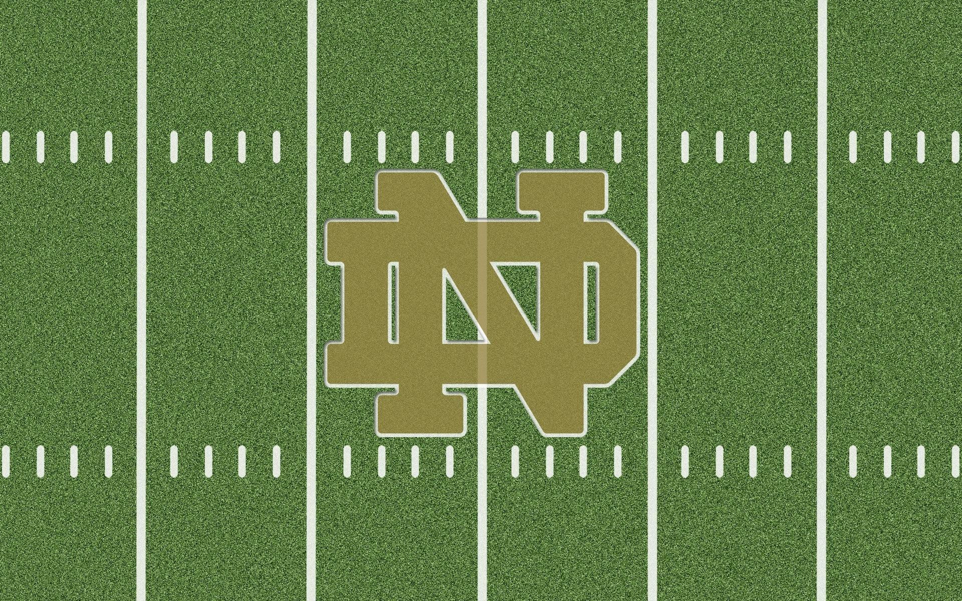 Notre dame for iphone HD wallpapers  Pxfuel