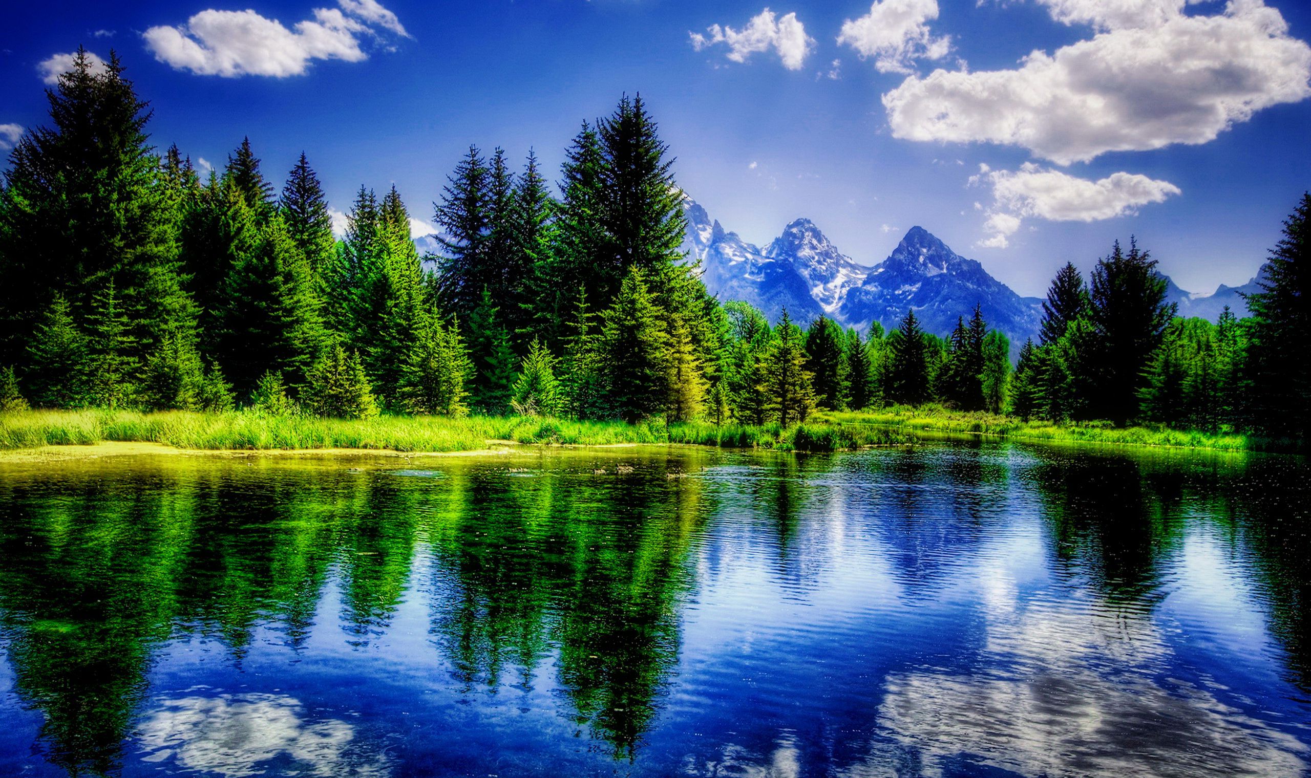 Beautiful View nature, HD phone wallpaper | Peakpx