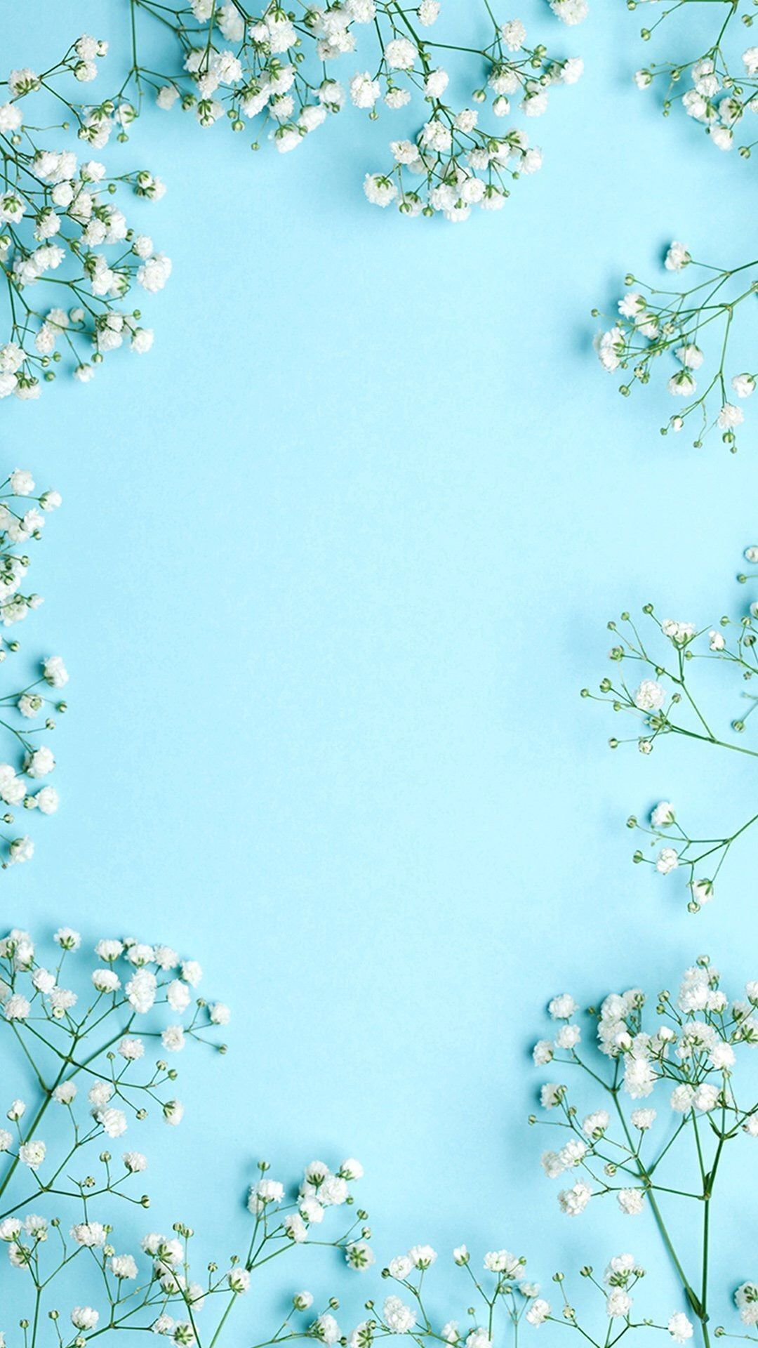 Blue Cute Wallpaper gambar ke 17