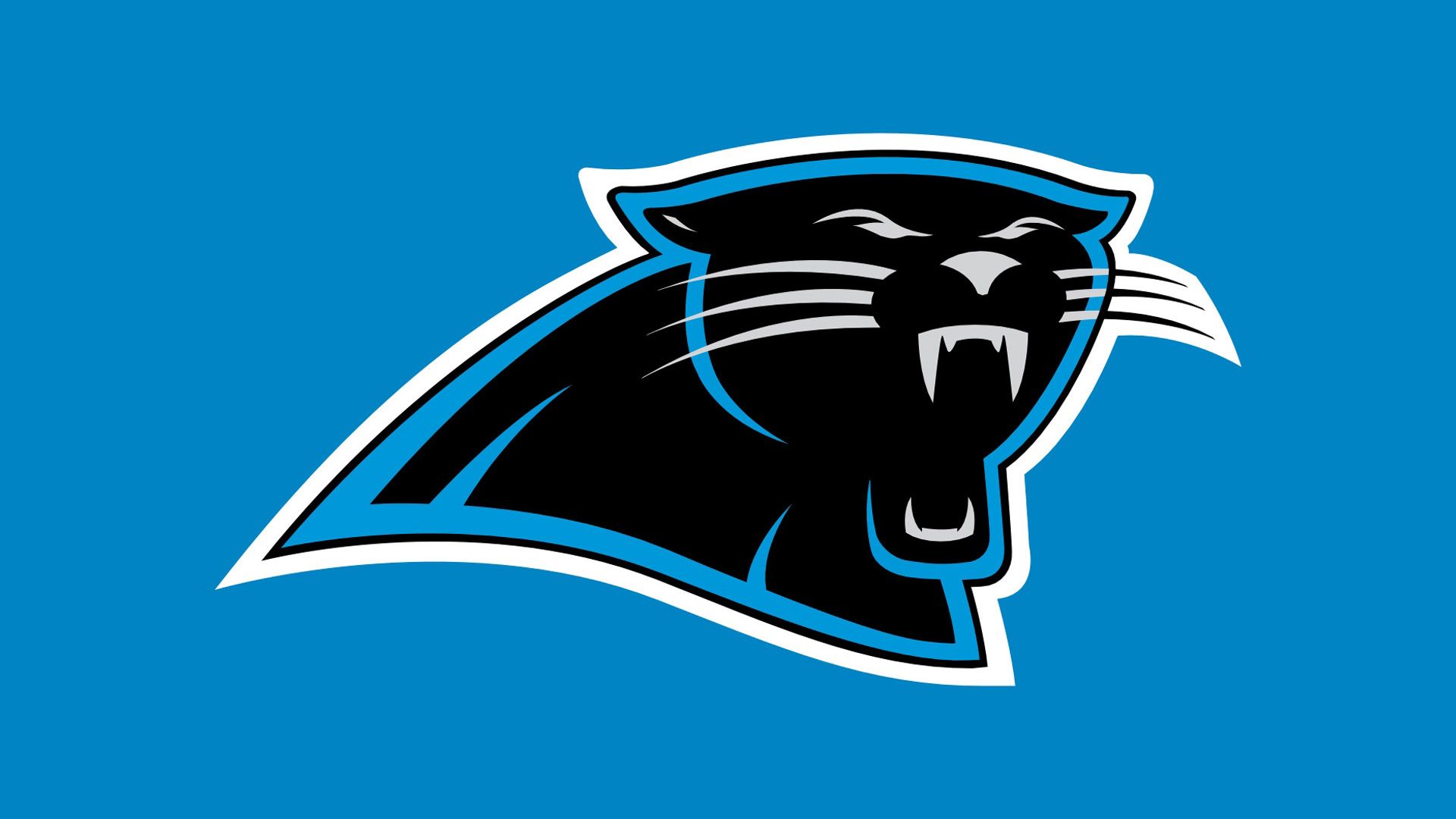Panthers unveil custom wallpapers in team app