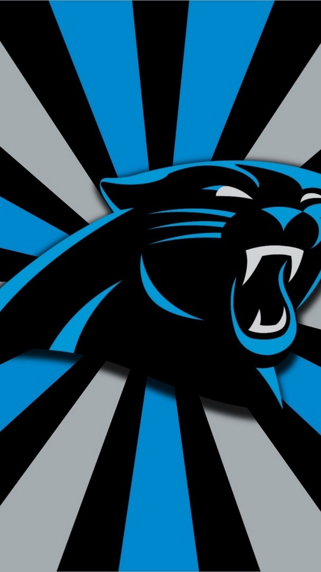 Carolina Panthers  Panthers Carolina panthers wallpaper Carolina panthers