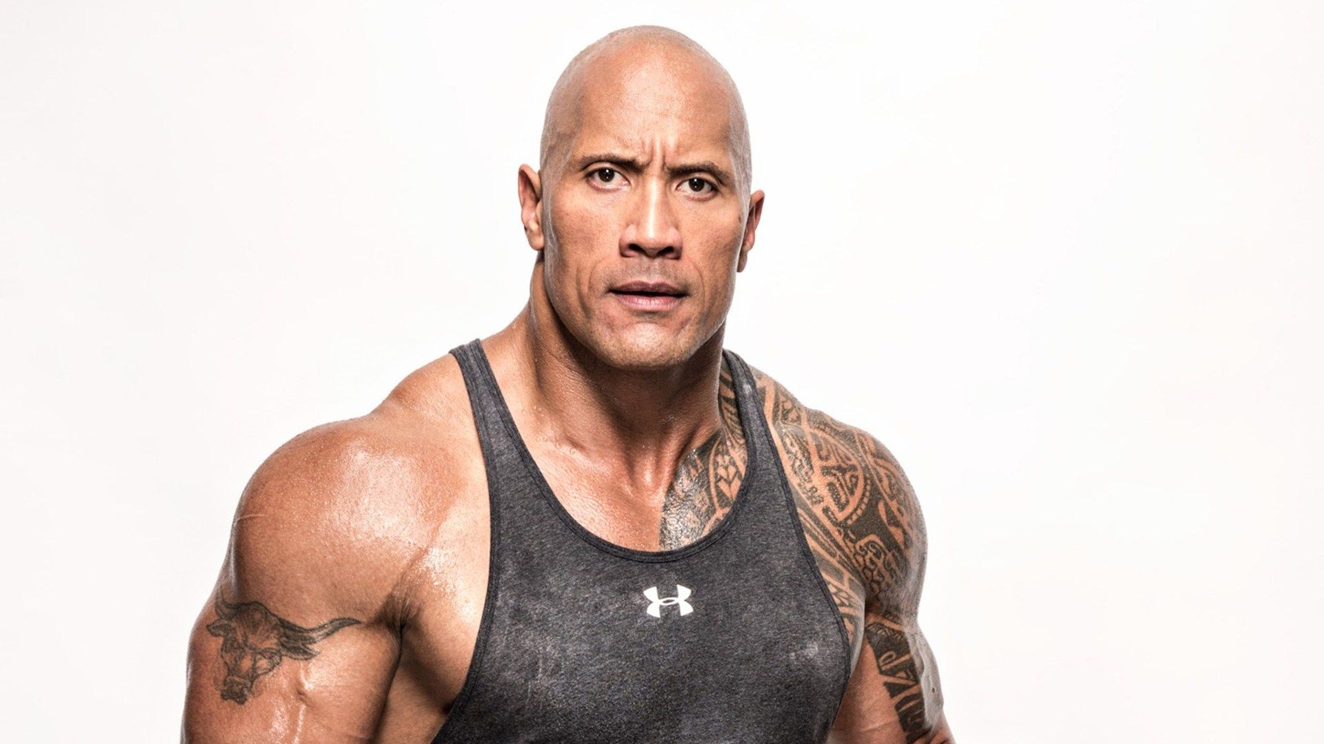  The Rock  Dwayne Johnson Workouts Wallpapers Photos Pictures WhatsApp  Status DP Pics Free Download