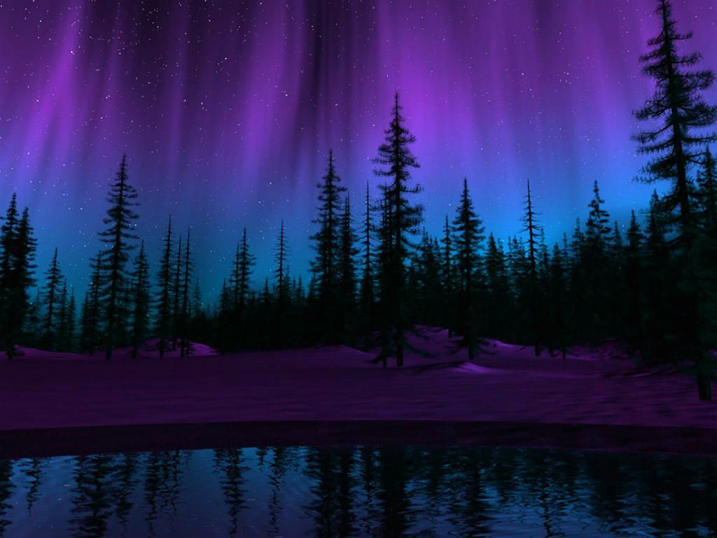 Purple Northern Lights Wallpapers on WallpaperDog