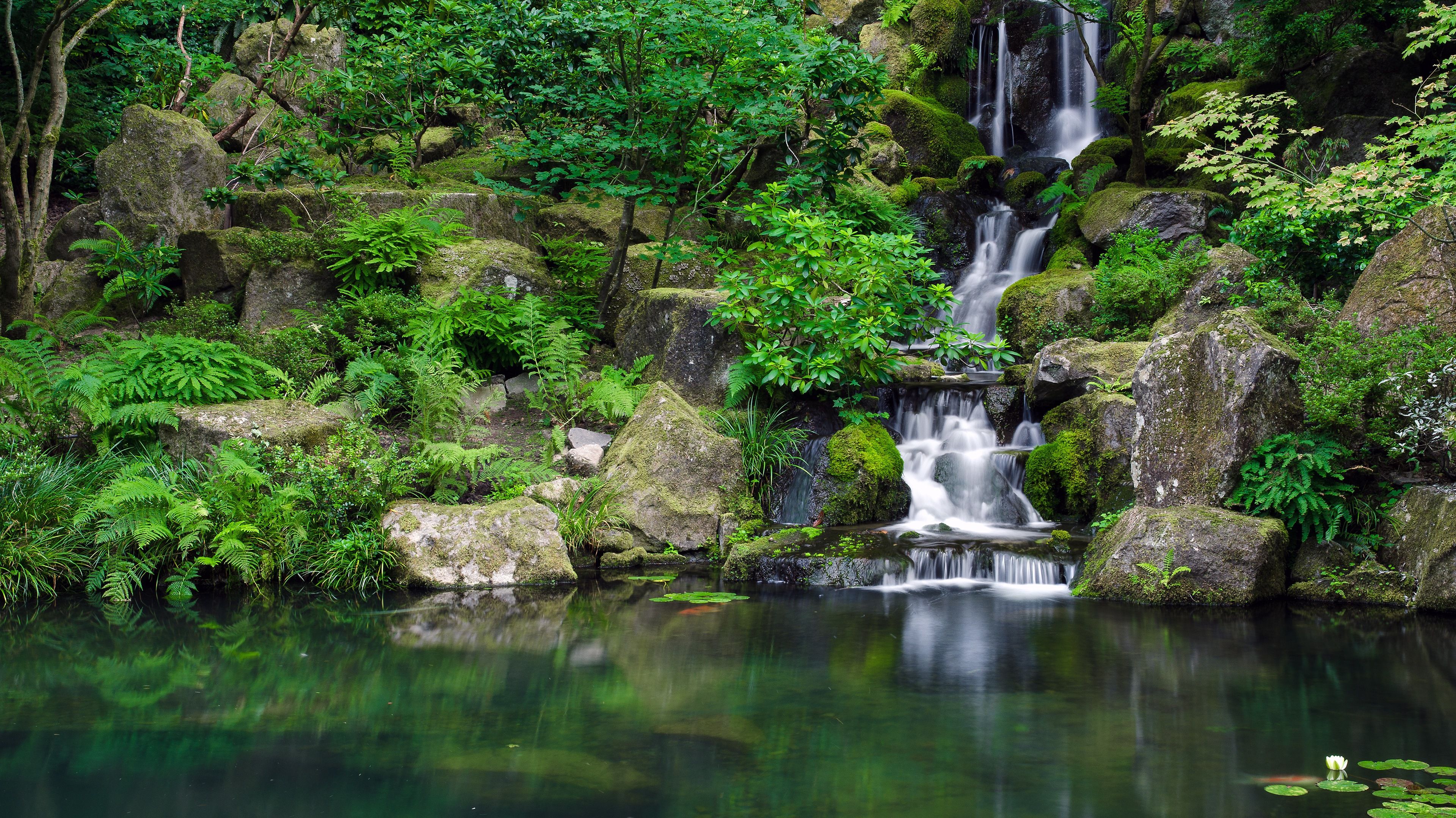 Forest Waterfall HD Wallpapers on WallpaperDog