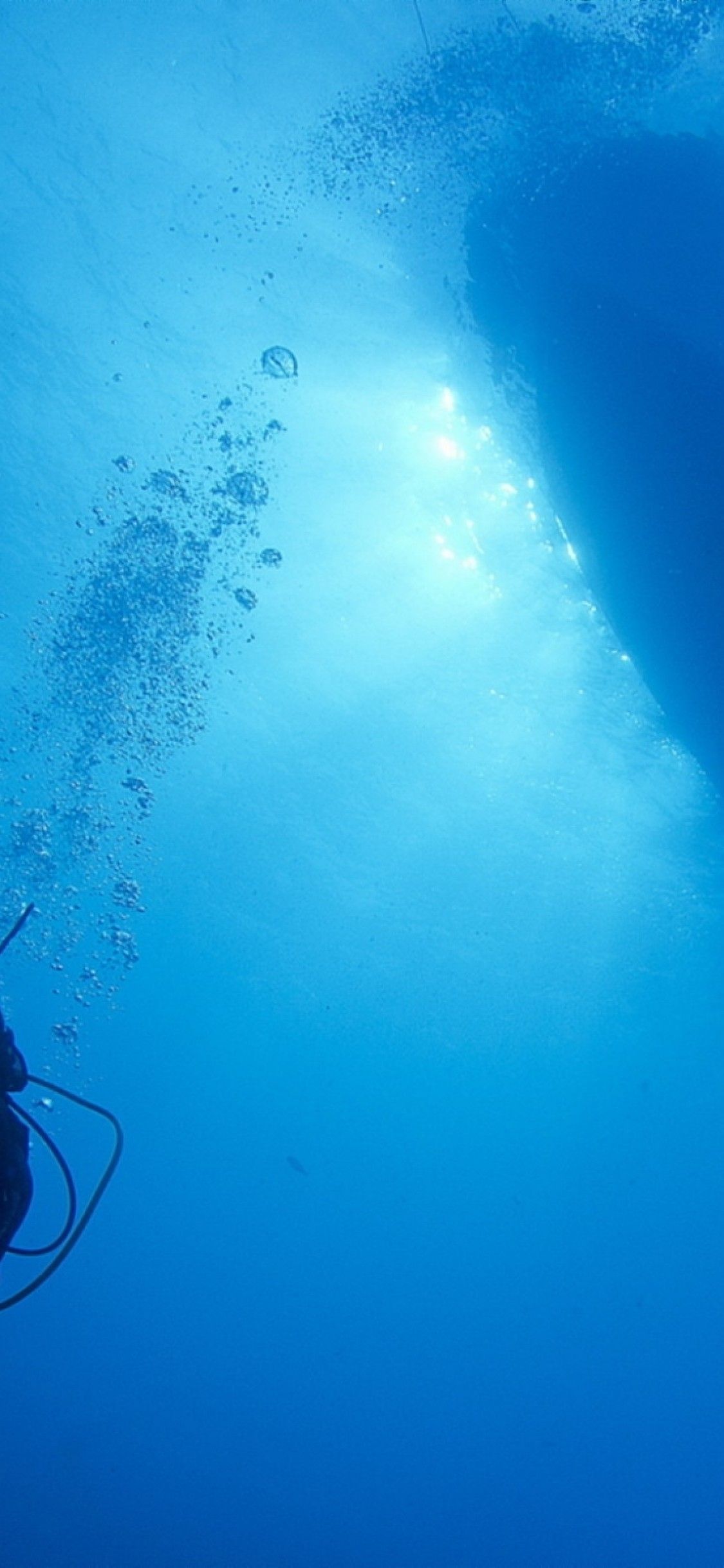 Hãy cùng với chúng tôi, tìm kiếm những bức ảnh với chủ đề lặn dưới nước để làm hình nền cho điện thoại của bạn. Khám phá những bức ảnh với những chú cá lớn dưới nước, những vật nuôi sống động dưới đáy đại dương. Hãy tận hưởng sự tự do của những chuyến phiêu lưu dưới nước.