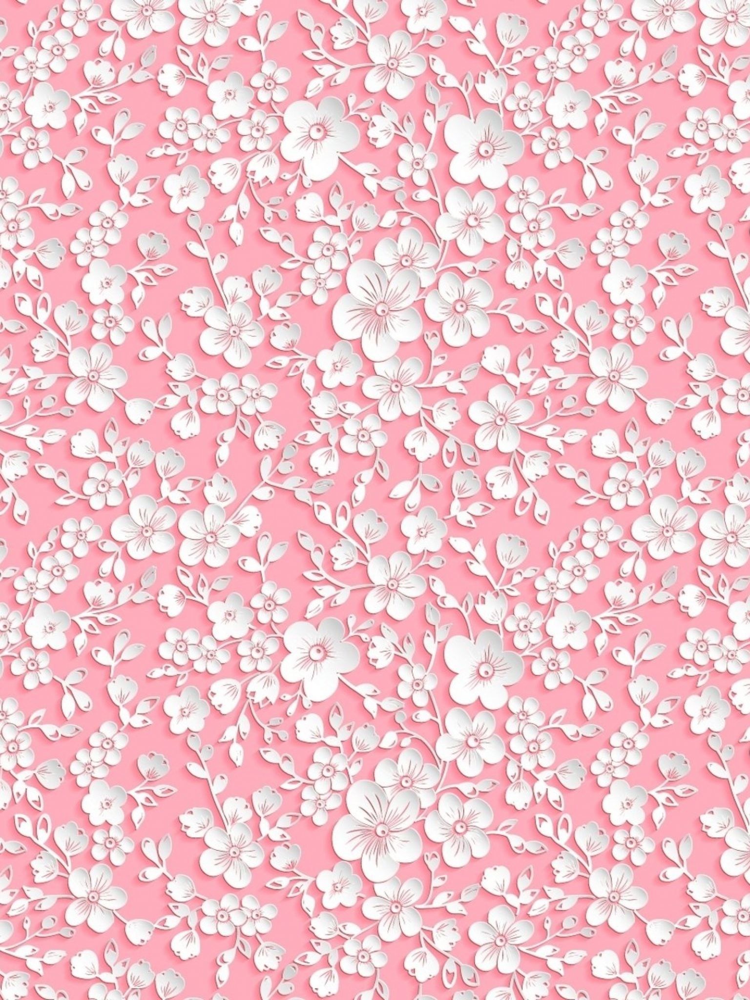 Baby Pink White Wallpapers on WallpaperDog