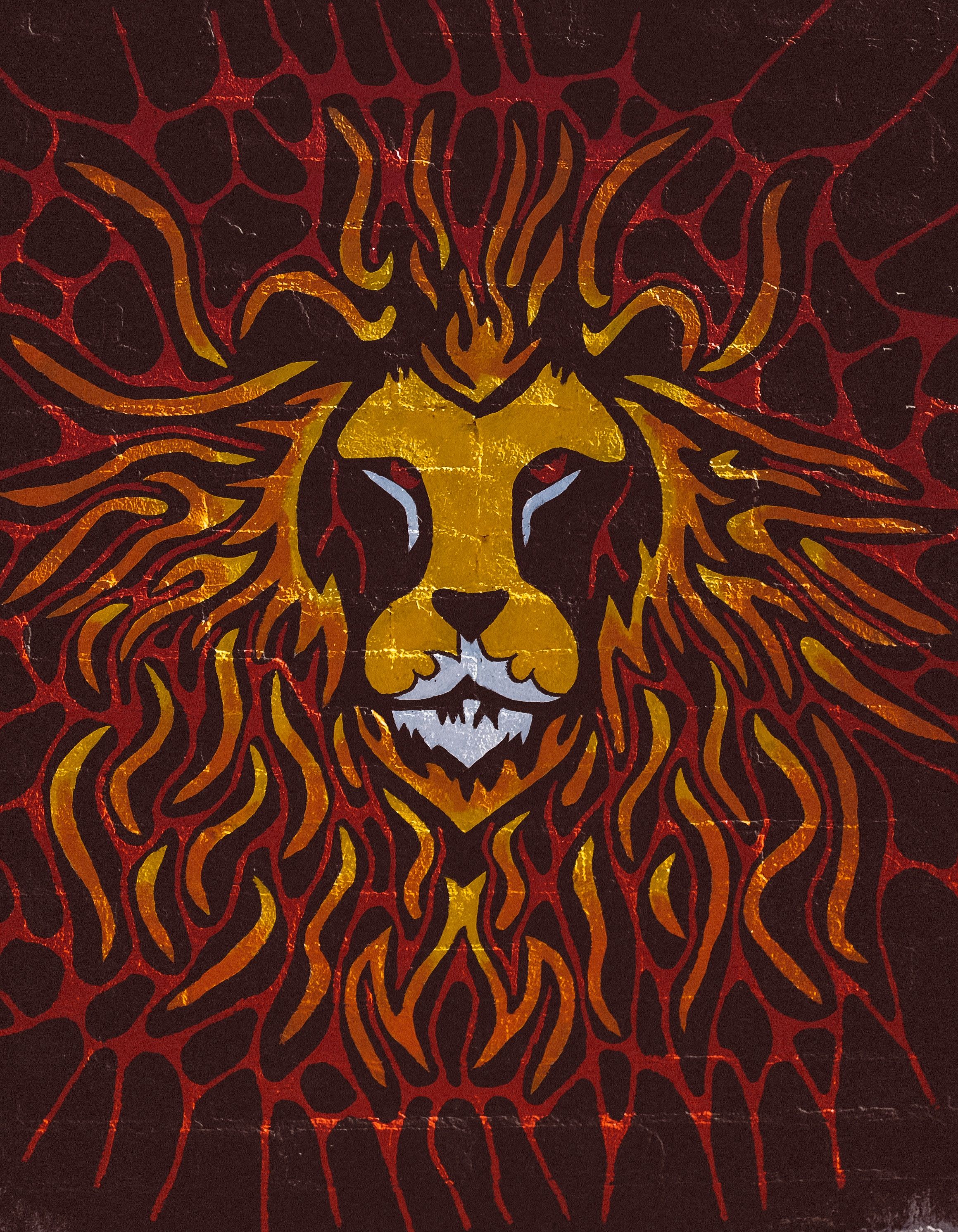 Lion Art Wallpapers on WallpaperDog