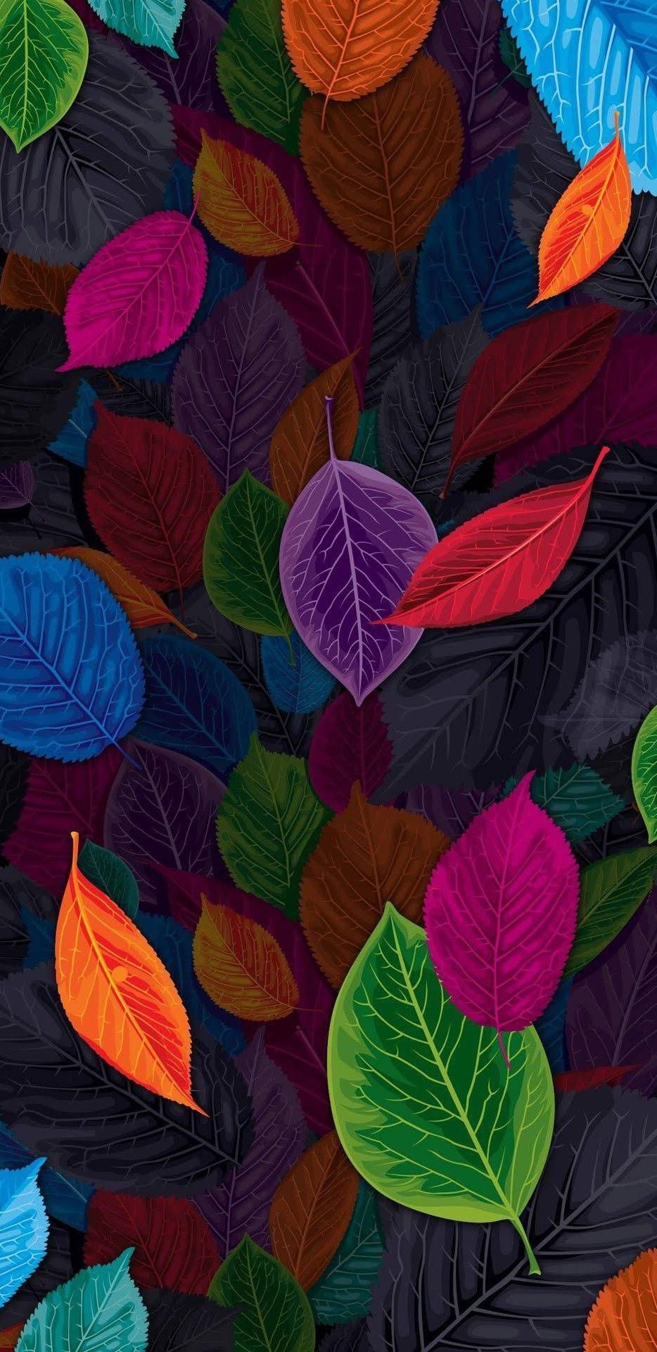 Colored Leaf Wallpapers on WallpaperDog