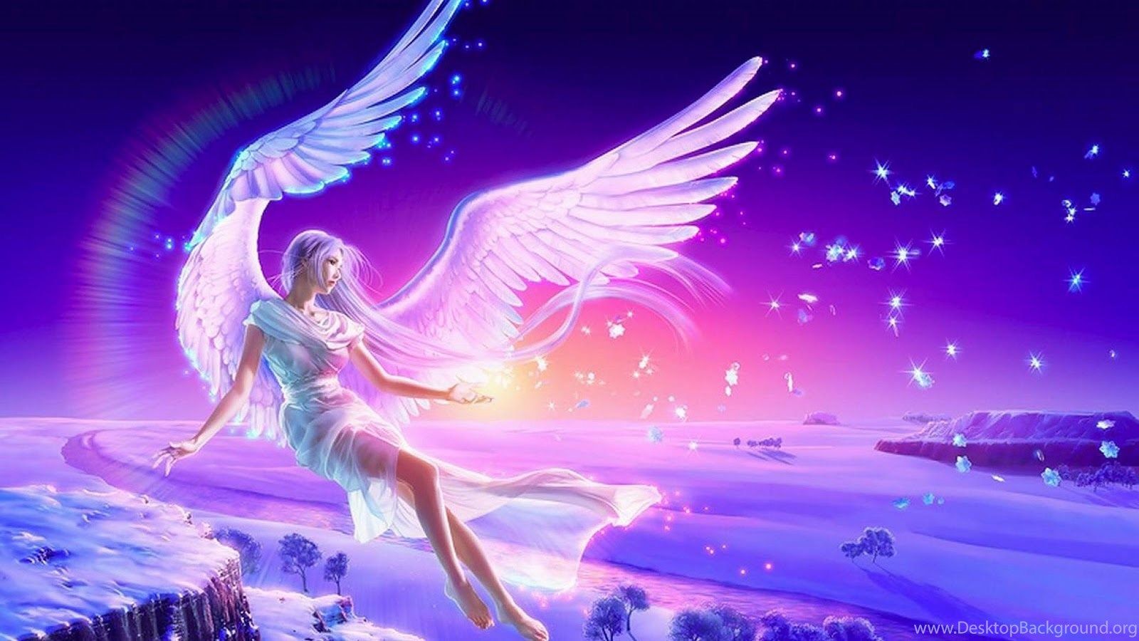Angel Wings Images  Free Photos PNG Stickers Wallpapers  Backgrounds   rawpixel